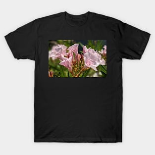 Pink Florida Flowers 1 T-Shirt
